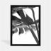 تابلو دکوراتیو بلمونت؛ گیاه برگ انجیری سیاه و سفید